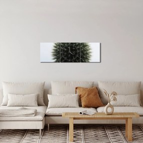 Obraz kvetinové gule (s hodinami) (90x30 cm)