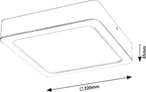 Rabalux 3176 - LED Stropné svietidlo SHAUN LED/24W/230V 22 cm
