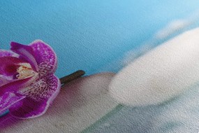 Obraz orchidea a Zen kamene Varianta: 120x80