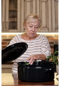 Sfinx Smaltovaná pokrievka Gastro, 40 cm, 40 cm