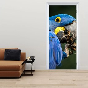 Fototapeta na dvere - Papagáj (95x205cm)