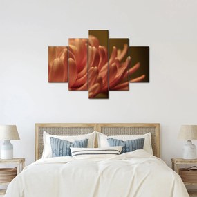 Obraz detailu kvety (150x105 cm)
