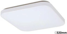Rabalux LED stropné svietidlo Rob 1x32W | 2100lm | 3000K - biela