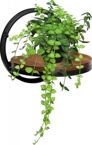 Police na kvety EBRO RUSTIC - starený dub