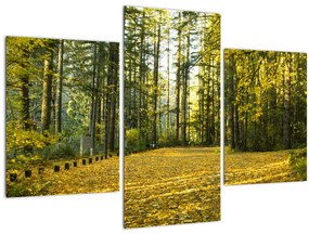 Obraz - les v jeseni (90x60 cm)