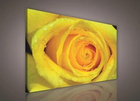 Obraz na stenu žltá ruža 100 x 75 cm