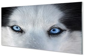 Obraz na akrylátovom skle Wolf eyes 120x60 cm