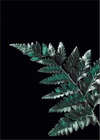 Plagát Dark Leaf