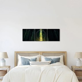 Obraz temného lesa (s hodinami) (90x30 cm)