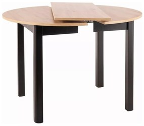 Rozkládací jídelní stůl Dante 102/144 cm dub artisan/černý