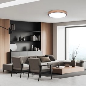 Solight WO8005 - LED Stm. svietidlo IRON OAK LED/48W/230V 3000-6500K pr. 40 cm+DO