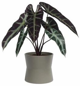 Keramický kvetináč ø 20 cm Diana – Artevasi