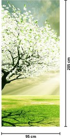 Fototapeta na dvere - Strom na lúke (95x205cm)