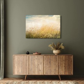 Obraz - Pole na jeseň (90x60 cm)