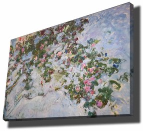 70100MONET003