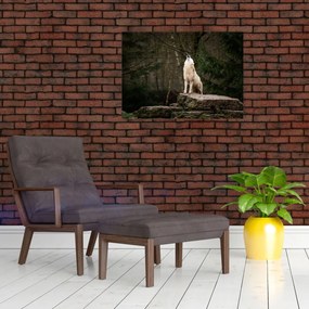 Obraz - Vytie vlka (70x50 cm)