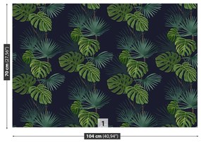 Fototapeta Vliesová Monstera deravá 250x104 cm