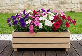 AMADEA Drevený dizajnový vyvýšený záhon s nádobou vo vnútri, 76x43,6x24cm