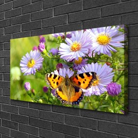 Obraz na plátne Kvety motýľ príroda 140x70 cm