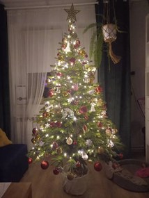 Smrek Prestige na pni 100% 3D- 210cm