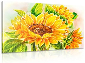 Obraz nádherná slnečnica