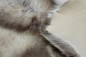 Koberec RENIFER POK003 PREMIUM hnedý / biely