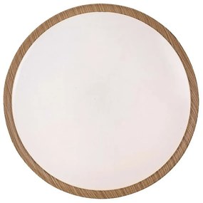 Rabalux 3500 stropné LED svietidlo