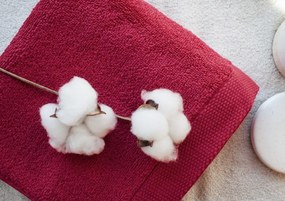 Bavlněný froté ručník MISTY 50x100 cm červený