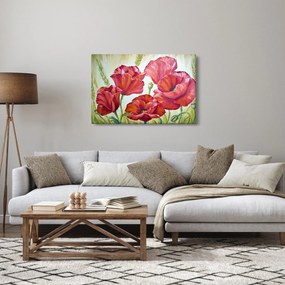 Obraz - Kvety vlčích makov (90x60 cm)