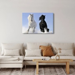 Obraz - Kone v zime (90x60 cm)