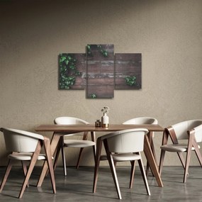 Obraz - Brečtan (90x60 cm)