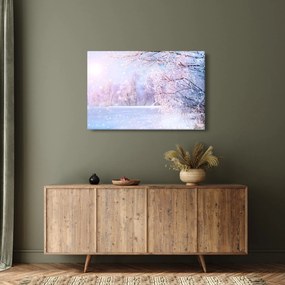 Obraz - Mrazivá zima (90x60 cm)