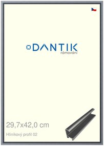 DANTIK rám na obraz 29,7x42 | ALU Platina matná (Plexi Čiré)