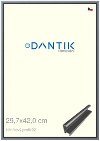 DANTIK rám na obraz 29,7x42 | ALU Platina matná (Plexi Čiré)