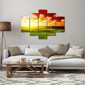 Obraz letnej lúky (150x105 cm)