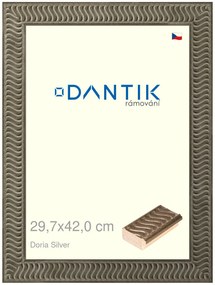 DANTIK rám na obraz 29,7x42 | Doria Silver (Plexi Čiré)