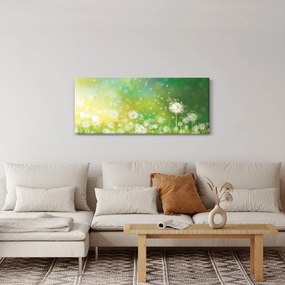 Obraz - Odkvitnuté púpavy (120x50 cm)
