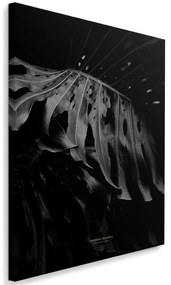 Gario Obraz na plátne Čiernobiela monstera - Dmitry Belov Rozmery: 40 x 60 cm