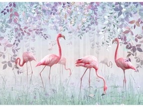 Fototapeta na stenu Flamingos