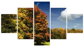 Jesenná krajina, obraz