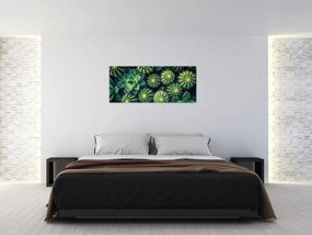 Obraz - Kaktusy (120x50 cm)