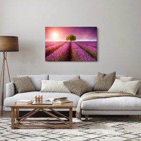 Obraz poľa s levanduľami (90x60 cm)