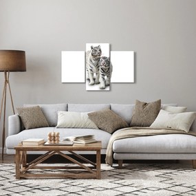 Obraz - Biely tiger (90x60 cm)
