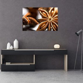 Obraz - Aníz (90x60 cm)