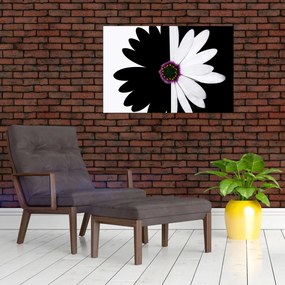 Obraz čiernobieleho kvetu (90x60 cm)