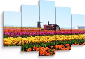 Obraz tulipánové farmy (150x105 cm)