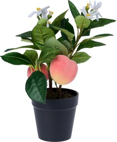 XXXLutz UMELÁ RASTLINA broskyňa 30 cm Ambia Home - Kvety & kvetináče - 0039530095