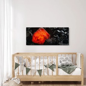 Obraz - Žeravý nerast (120x50 cm)