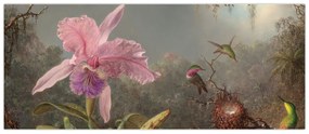 Obraz - Martin Johnson Heade, Cattleya Orchid and Three Hummingbirds, reprodukcia (120x50 cm)