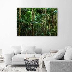Obraz na plátně Palmy Les Příroda - 90x60 cm